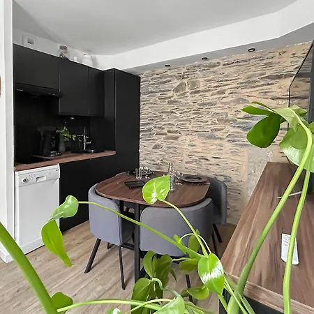 Nid Douillet Cosy Au Coeur D'angers, Ideal A Deux Apartment *