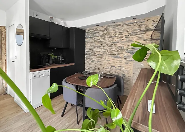 Nid Douillet Cosy Au Coeur D'angers, Ideal A Deux Апартаменты *